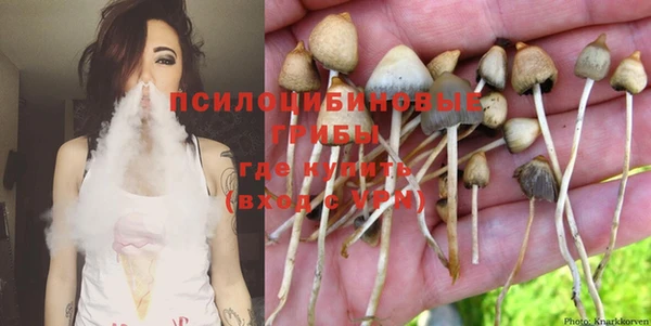 не бодяженный Иннополис