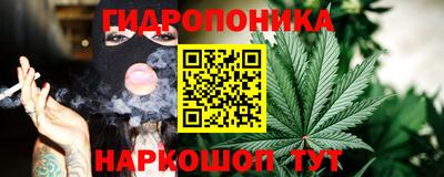 гидра Гусиноозёрск