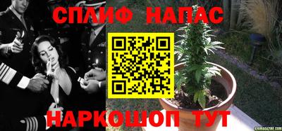 твердый Бийск