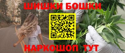 гашик Кингисепп