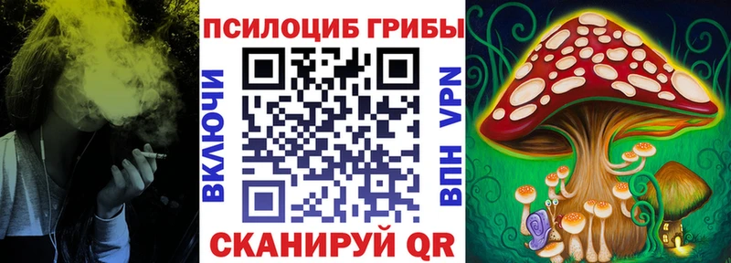 Галлюциногенные грибы Magic Shrooms  Каменка 
