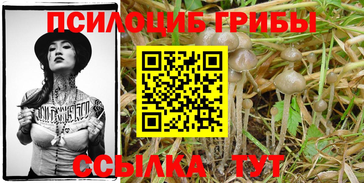 Каменка  ЭКСТАЗИ  Мефедрон   ГАШ  Кетамин  МЕТАМФЕТАМИН  Вход с VPN  Бошки Шишки 