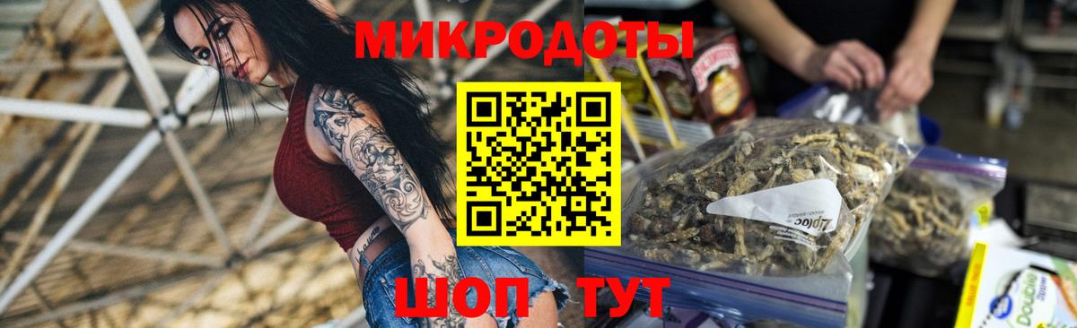 купить закладку  Псилоцибиновые грибы прущие грибы  Каменка  Вход с VPN  Псилоцибиновые грибы Magic Shrooms 